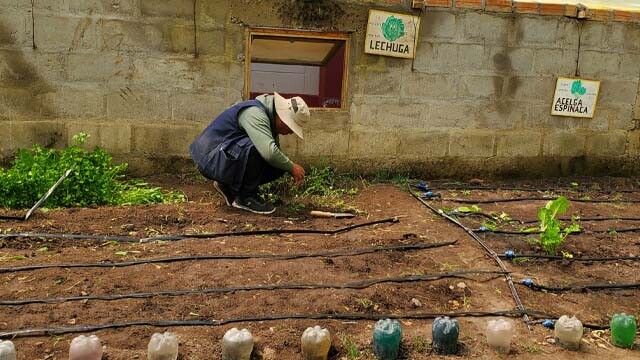 PERU_BIOHUERTOS OCT.jpg